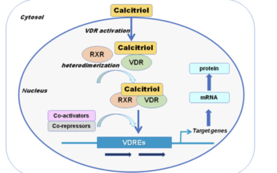 The Trilogy of Trouble: Vitamin D, Calcium, and the Spike Protein Connection